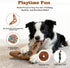 Set Puppy Supplies Starter Kit Puppy Essentials and Dog Stuff for Small Dogs, Includes Bowls, Toys, Toothbrush, Treat