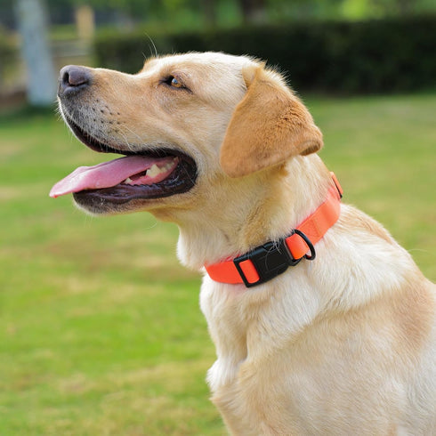 Waterproof Dog Collar with Quick Release Buckle, Easy to Clean Rubber Collars for Small Medium Large Dogs (Orange, L