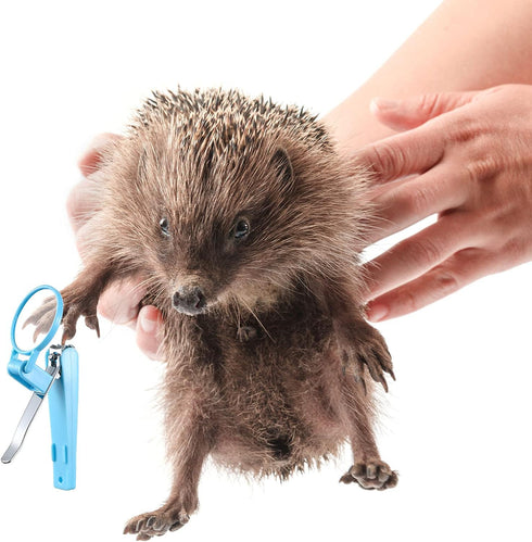 Mudder 3 Pcs Hedgehog Small Animal Grooming Kit – Includes Bathing Brush and Nail Clipper with Magnifier