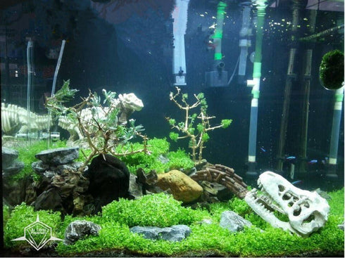 Aquarium Decoration - Skeleton Hole Resin Dinosaur Skull Ornament for Fish Tank & Reptile House
