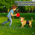 Dog Diapers Male Reusable & Washable Belly Bands for Dogs, Breathable Air-Mesh Fabric, High Absorbing, for Doggie