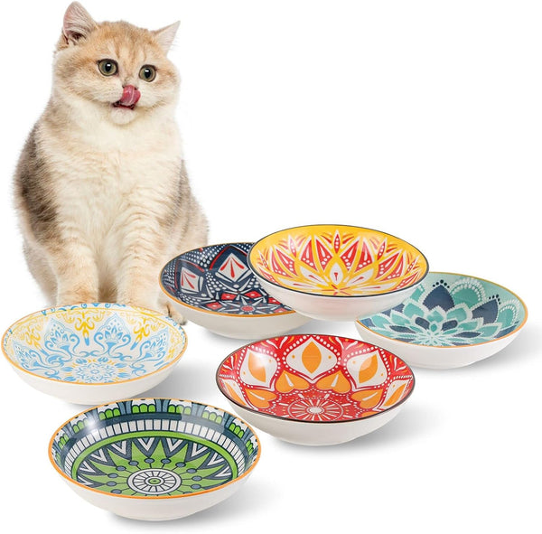 5.5 inch Wide Shallow Cat Food Bowl Set for Whisker Fatigue Relief, Ceramic, 6 Colorful Cute Dishes, 8 oz