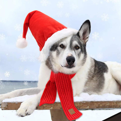 Rypet Dog Santa Hat and Scarf - Christmas Costumes for Small to Medium Dogs and Cats