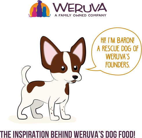 Weruva Classic Dog Food Variety Pack, Let's Give Em' Pumpkin to Talk About, 5.5 oz Can (Pack of 12)