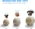 Nocciola Wobble Giggle Ball for Dogs, Interactive Squeaky Toy for All Sizes, Fun Giggle Sounds When Rolled or Shaken (M)