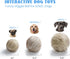 Nocciola Wobble Giggle Ball for Dogs, Interactive Squeaky Ball Toy for Small Medium Large Dogs, Fun Giggle Sounds