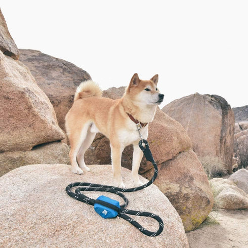 ZippyPaws Dog Poop Bag Holder Leash Attachment, Glacier Blue