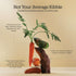Now Fresh Dry Dog Food for Seniors, Turkey, Salmon & Duck Recipe, 12 lb - Grain Free, Real Meat & Fish