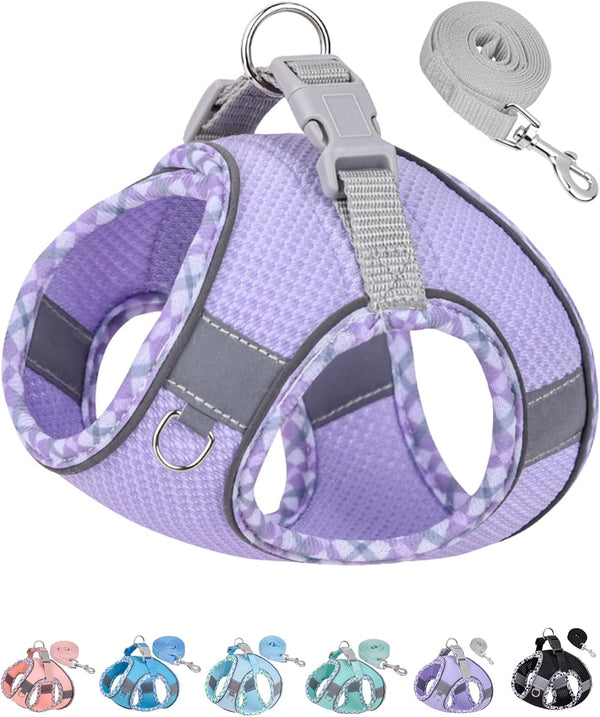 Petank No Pull Dog Harness for Small Medium Dogs, Easy Walk Harness and Leash Set for Training (Purple, S)