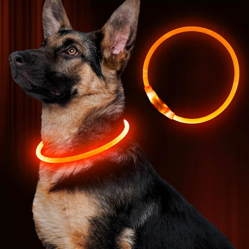 Led Dog Collar, BSEEN USB Rechargeable Flash Necklace Light for Small Medium Large Dogs, Orange