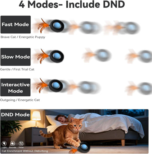 KiwiLove 7-Hole Interactive Cat Toy with Motion Activated Ball & Play Mat, Hide and Seek Exercise Game for Indoor Cats