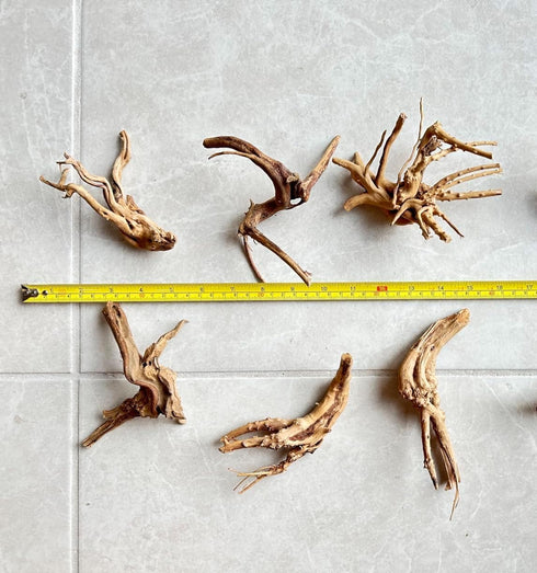 10pcs Natural Small Spiderwood Driftwood for Aquarium Decor, Freshwater Reptile Driftwood, 5-6inch