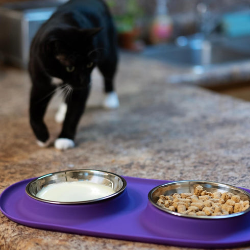 Messy Cats Double Silicone Feeder with Stainless Saucer - Anti-Slip Non-Skid Cat Food Bowls, 1.75 Cups per Bowl