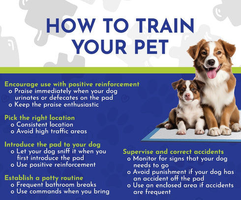 23 23 Dog Training Pads x Leak-Proof, Super Absorbent Puppy Pads with Adhesive Tabs, Odor Control, Disposable Potty