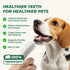 100 Count Dog Dental Wipes - Dog Finger Toothbrush & Teeth Cleaning Wipes, Pet Dental Finger Wipes for Dogs & Cats
