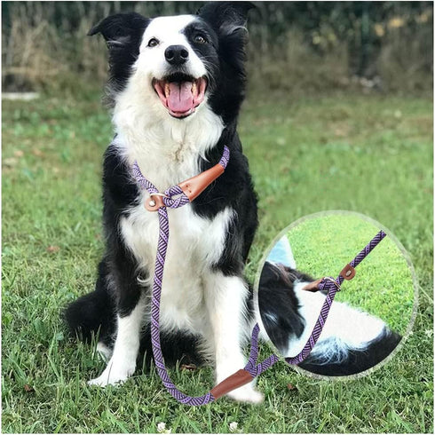 3 FT Dog Leash Slip Lead, 1/2 inch Rope Walking and Training Leash, Strong Nylon for Medium and Large Dogs (Purple)