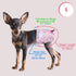 20pcs Pet Soft Disposable Dog Diapers - Female Dog Diapers with Adjustable Foam Tail Hole, Ultra Protection Puppy & Cat