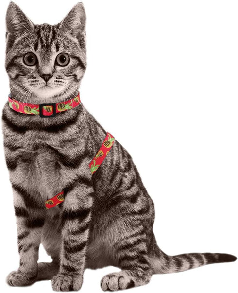 azuza Cat Harness and Leash Set - Escape Proof Adjustable Vest for Walking, Pineapple Design for Small to Large Cats