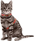 azuza Cat Harness and Leash Set - Escape Proof Adjustable Vest for Walking, Pineapple Design for Small to Large Cats