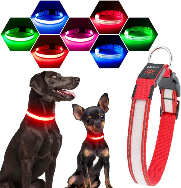 Reflective LED Light Up Dog Collar, Adjustable Rechargeable Waterproof Glow Collar for Large Medium Dogs