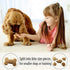 Emerald Pet 3 Pack of Little Chewzzies - 5 Ounces each, Chicken Flavor Low Calorie Wheat-Free Dog Treats