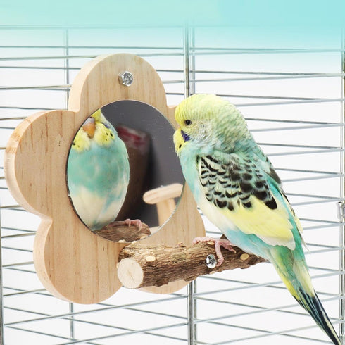 Parrot Perch Stand with Mirror & Chew Toys Natural Wood Bird Play Gym for Cockatiels, Conures, Parakeets, Lovebirds