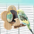 Parrot Perch Stand with Mirror & Chew Toys Natural Wood Bird Play Gym for Cockatiels, Conures, Parakeets, Lovebirds