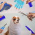 7-Piece Small Pet Grooming Kit with Brush, Nail Clippers, and Adjustable Strap for Rabbits, Hamsters, Guinea Pigs