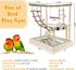 Hamiledyi Bird Playground Parrots Wood Perch Stand Cockatiel Playground Bird Play Gym Colours Climb Ladders Swing