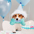 PrimePets Dog Birthday Toys, Plush Squeaky Toys, Birthday Party Supplies for Small, Medium, Large Dogs (Bone)