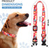 Rhea Rose 1 Inch Shock Collar Replacement Strap, Red Daisy, 2 Holes, Compatible with Most Underground Dog Fences