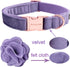 ARING PET Velvet Dog Collar, Purple with Detachable Felt Flower, Adjustable Soft Collar for Dogs