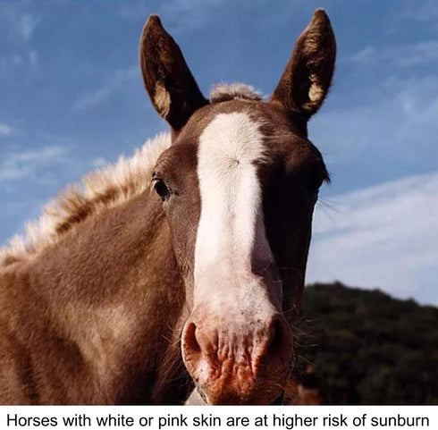 8 oz. Sunscreen for Horses - Pure Sole Sun Block Cream |Nose Sun Protection and Sensitive Pink Horse Skin |Made