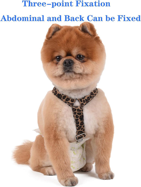 TESSVEYA Dog Diaper Suspenders for Male or Female - Leopard Print & Light Green, S