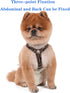 TESSVEYA Dog Diaper Suspenders for Male or Female - Leopard Print & Light Green, S