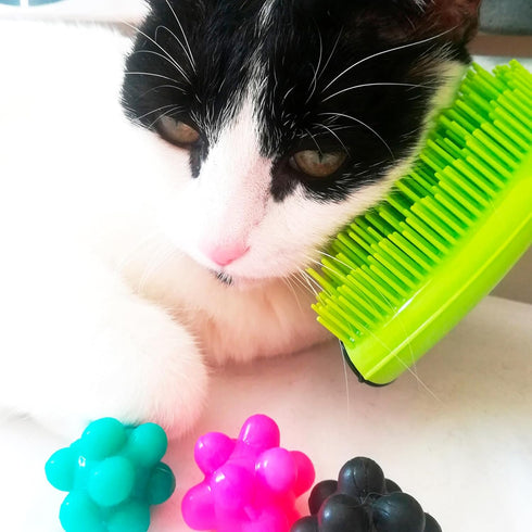 Michel Mercier Pet Detangling Brush for Fine or Normal Fur - Grooming and Deshedding Brush for Cats and Dogs