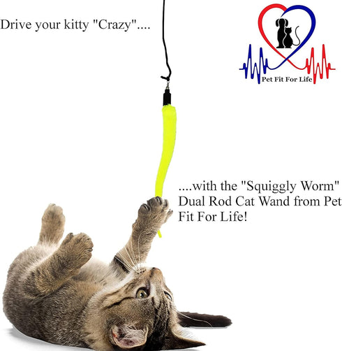 Pet Fit For Life Cat Wand Toy - 5-Piece Worm Teaser & Exerciser, Durable Flirt Pole for Feline Fitness