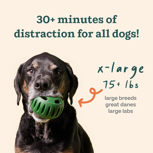 75 lbs WOOF Pupsicle and Treat Tray - Long-Lasting Interactive Dog Ball Toy and Silicone Dog Treat Mold - Keep Your Pup