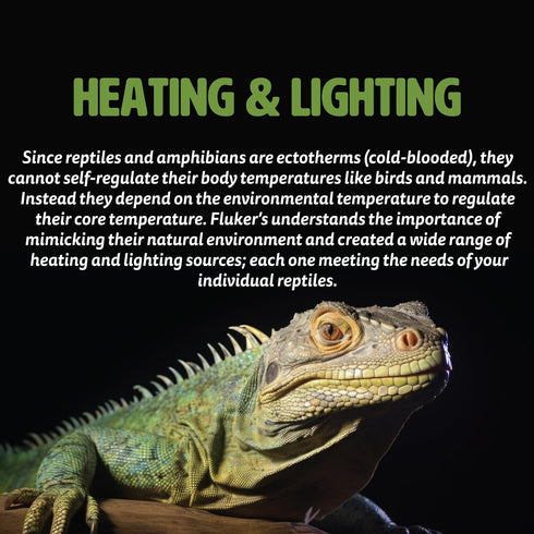Fluker's Ceramic Heat Emitter, Natural Infrared Heating Bulb for Reptiles, 60 Watt