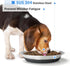 Premium Stainless Steel Dog Bowls - Non-Slip, 2.5 Cups Capacity, Durable and Safe for Your Beloved Pet