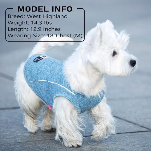 KYEESE Dog Shirt Soft Breathable T-Shirt with Reflective Strip for Night Walking, Lightweight Cat Shirt