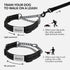 CollarDirect Martingale Dog Collar, Stainless Steel Chain and Quick Release Buckle, Reflective Collar for Dogs, Black