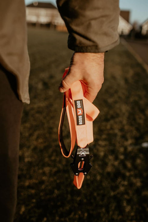 Boss Dog Tactical Hunter Orange Leash, 4 Foot, 1.25" Wide