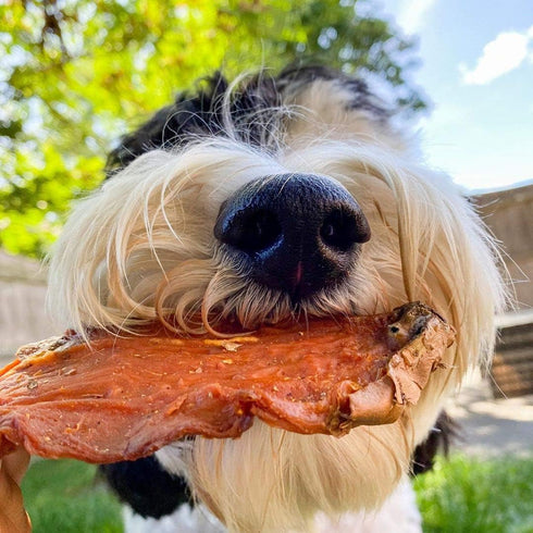 Sweet Potato Slices For Dogs - 14oz Thick Cut Dried Treats, 100% Natural, Grain Free, No Preservatives, High