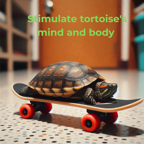 4PC 3 1 Set Turtle Toys Mini Skateboards & Treat Ball Funny Habitat Finger Skateboard Silcone Food Balls Enrichment