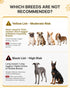 MIDOG Dog Cone Collar for Large Medium Dogs, Soft Inflatable Dog Cone Alternative After Surgery, Adjustable Protective