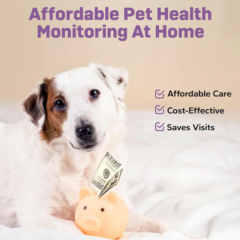 5 10 One Step Pet Urine Testing Strips, x Parameter Urinalysis Test Strips, Urine pH Test Strips for Dogs, Cats