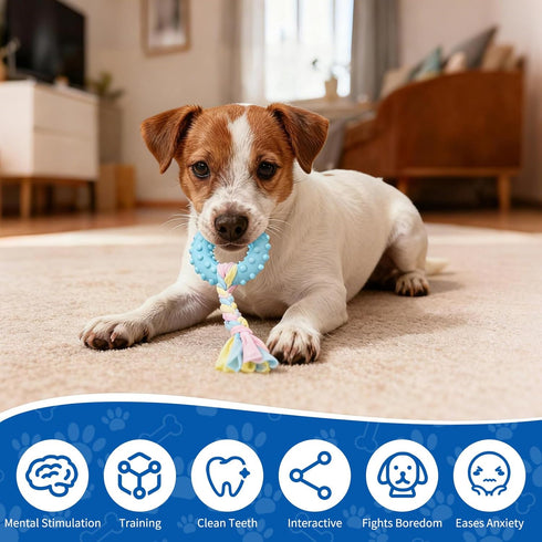 8 Puppy Play Gym with Hanging Toys, Indoor Jungle Gym Toys for Small Dogs with PVC Frame, Interactive Puppy Toy