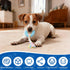 8 Puppy Play Gym with Hanging Toys, Indoor Jungle Gym Toys for Small Dogs with PVC Frame, Interactive Puppy Toy