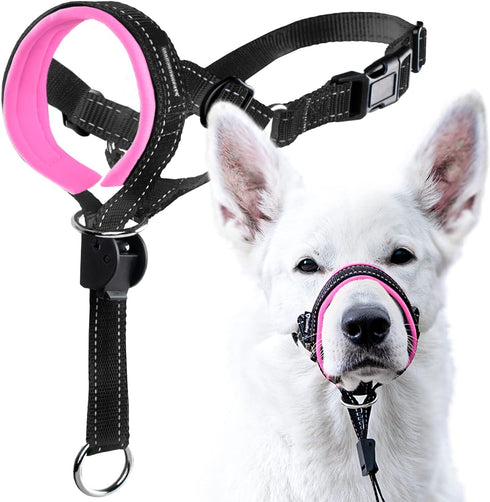 GoodBoy Dog Head Halter with Safety Strap: Padded Headcollar for Small, Medium, and Large Dogs (Size 2, Pink)